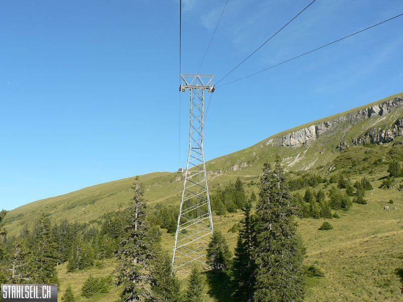 k-P1390310.JPG