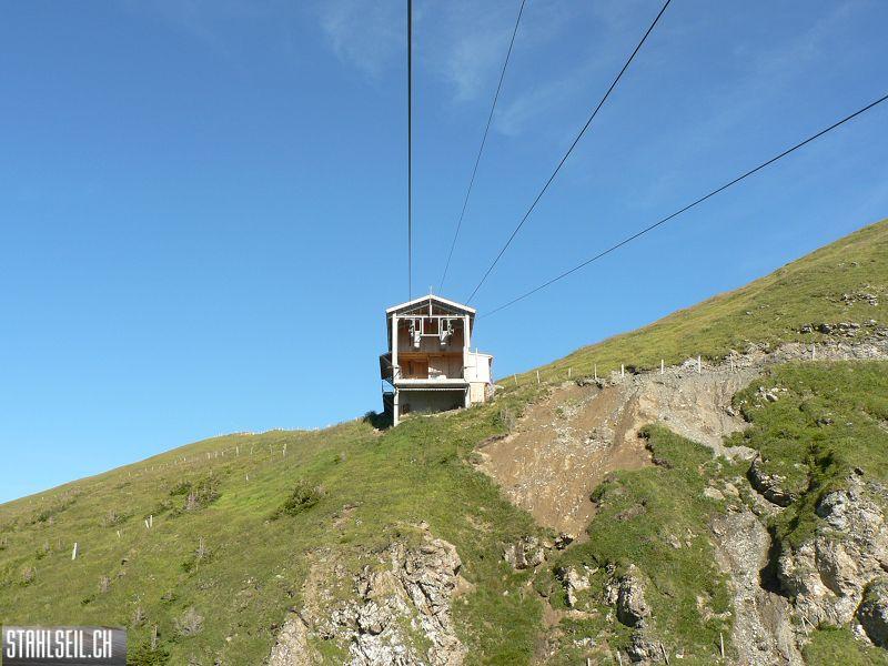 k-P1390321.JPG