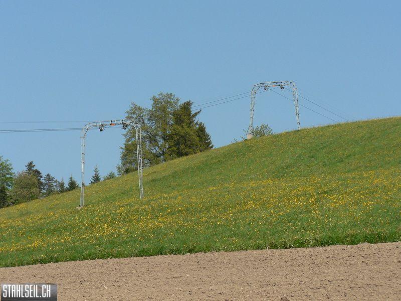 k-P1680745.JPG