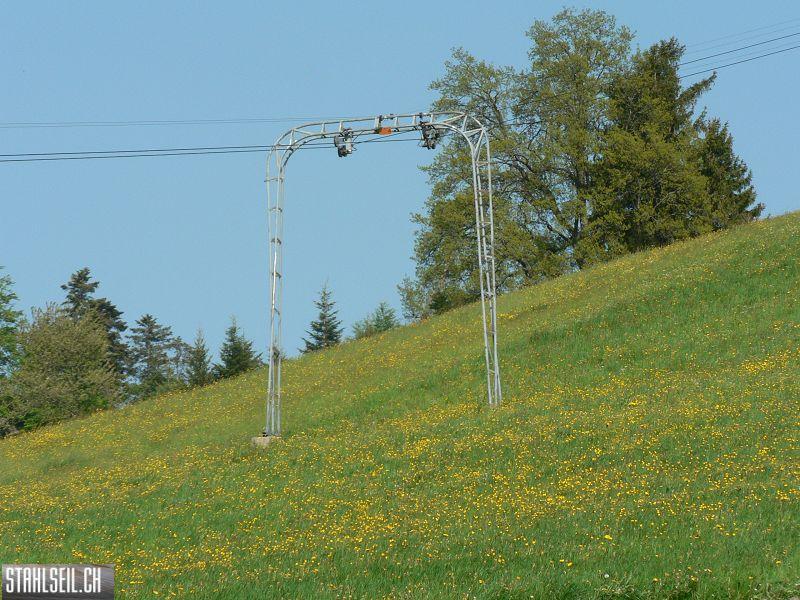 k-P1680746.JPG