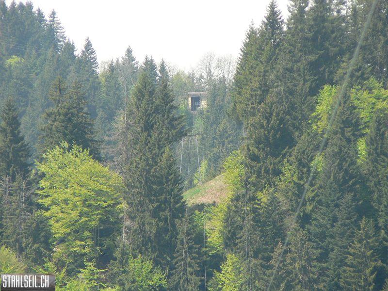 k-P1680552.JPG