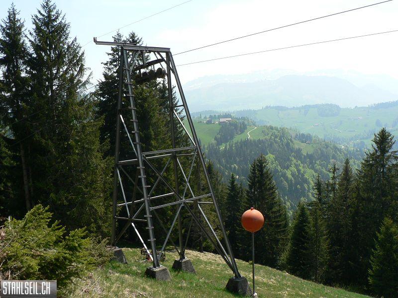 k-P1680599.JPG