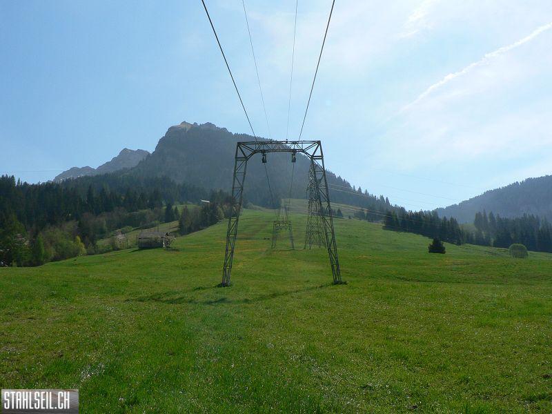 k-P1680468.JPG