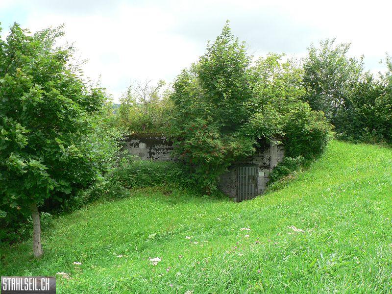 k-P1720162.JPG