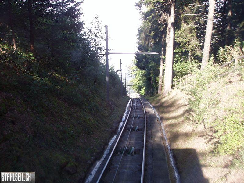 k-P9180019.JPG