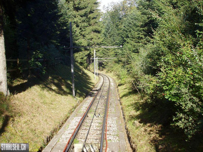 k-P9180041.JPG