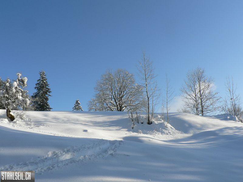 k-P1500322.JPG