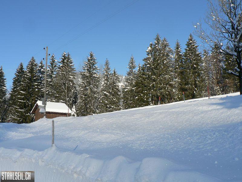 k-P1500329.JPG