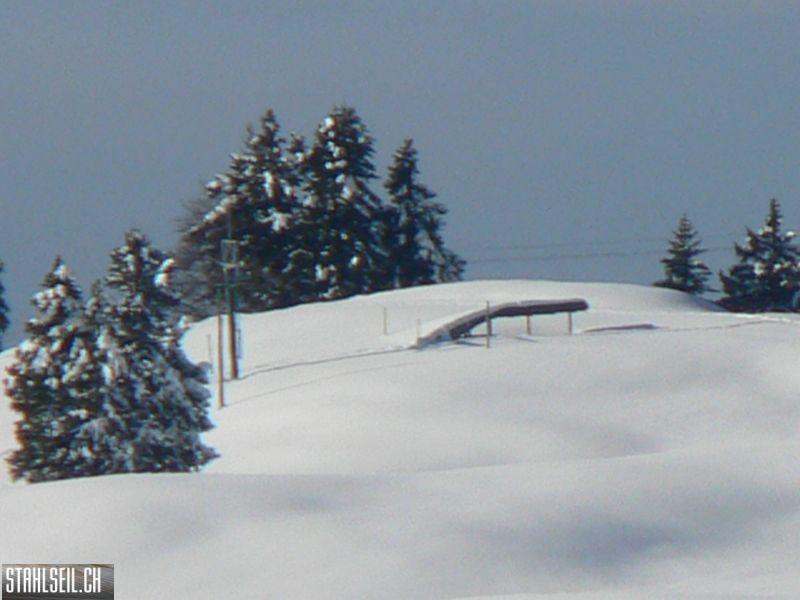 k-P1500438.JPG