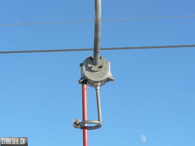 k-P1510079.JPG