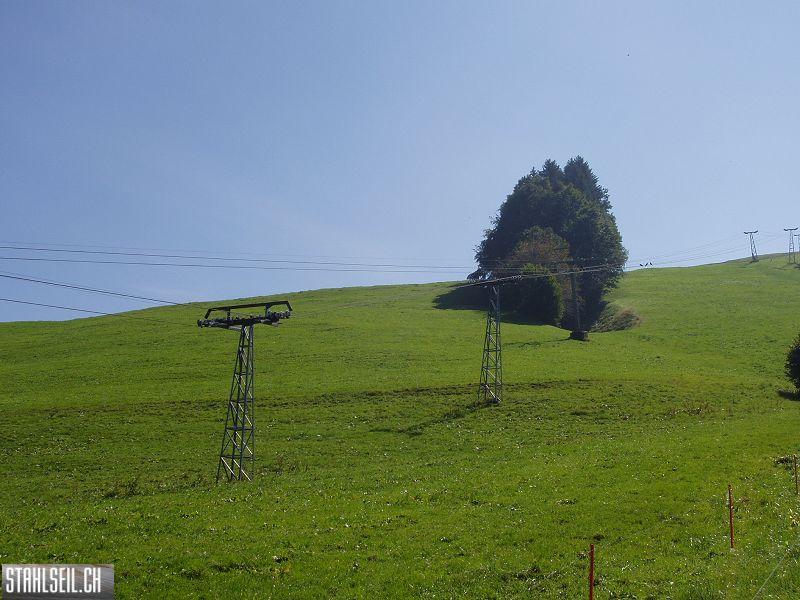 k-P9180105.JPG