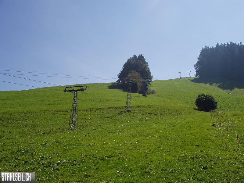 k-P9180118.JPG