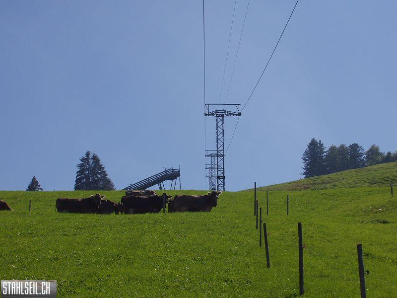 k-P9180139.JPG