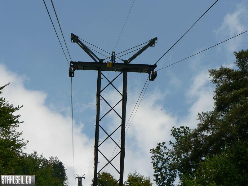 k-P1400813.JPG