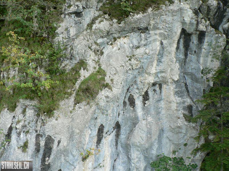k-P1400902.JPG