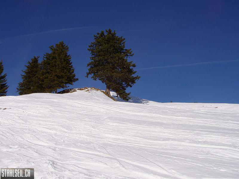 k-P1070053.JPG