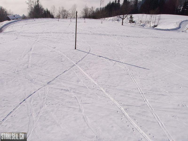 k-P1070062.JPG