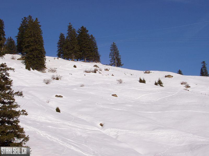 k-P1070071.JPG