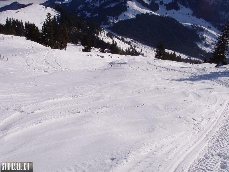 k-P1070080.JPG