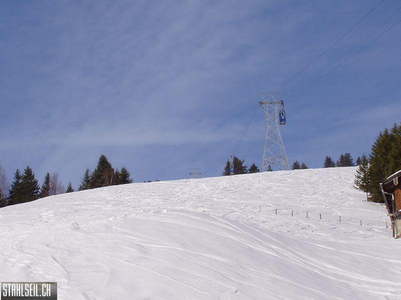 k-P1070125.JPG