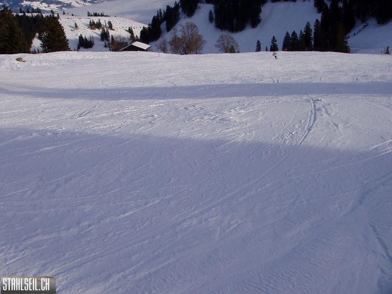 k-P1070283.JPG