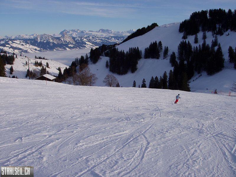 k-P1070284.JPG