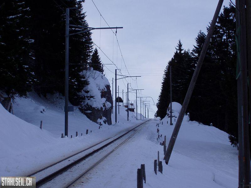 k-P1070286.JPG