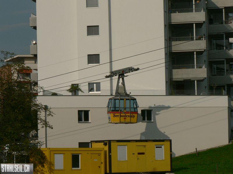 k-P1140038.JPG