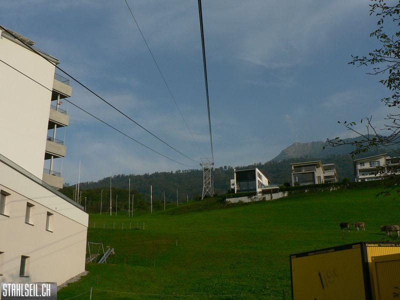 k-P1140075.JPG