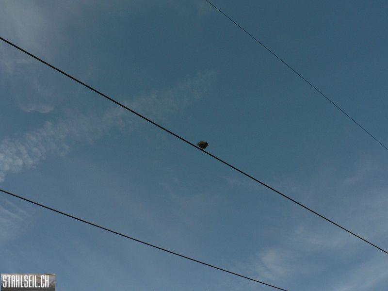 k-P1140080.JPG