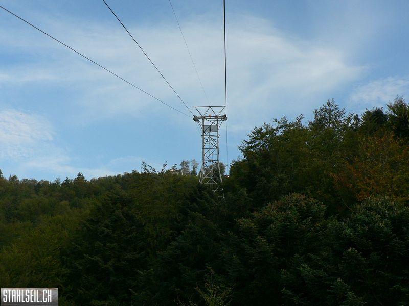 k-P1140111.JPG