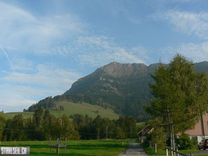 k-P1140128.JPG