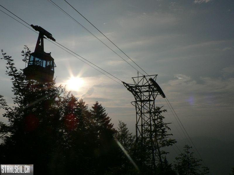 k-P1140170.JPG