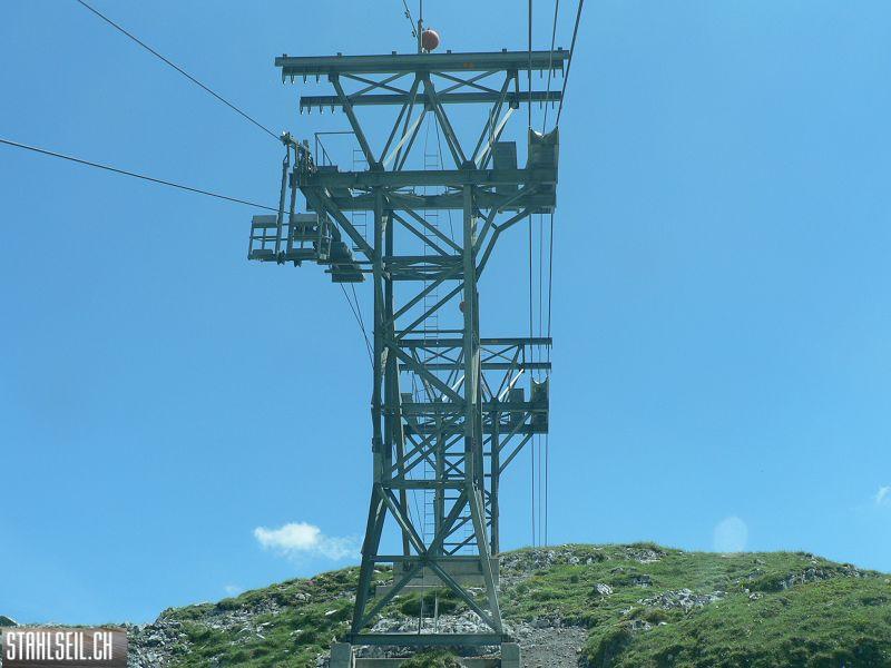 k-P1350637.JPG