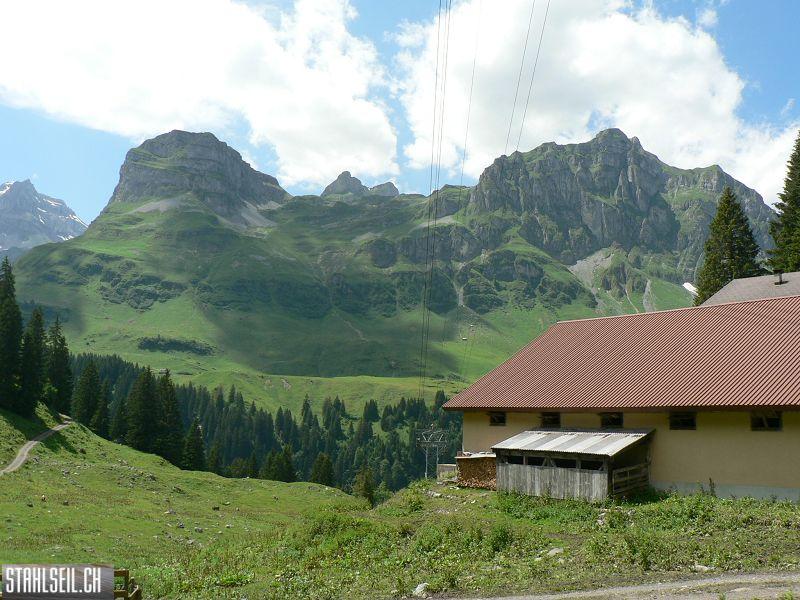 k-P1350699.JPG