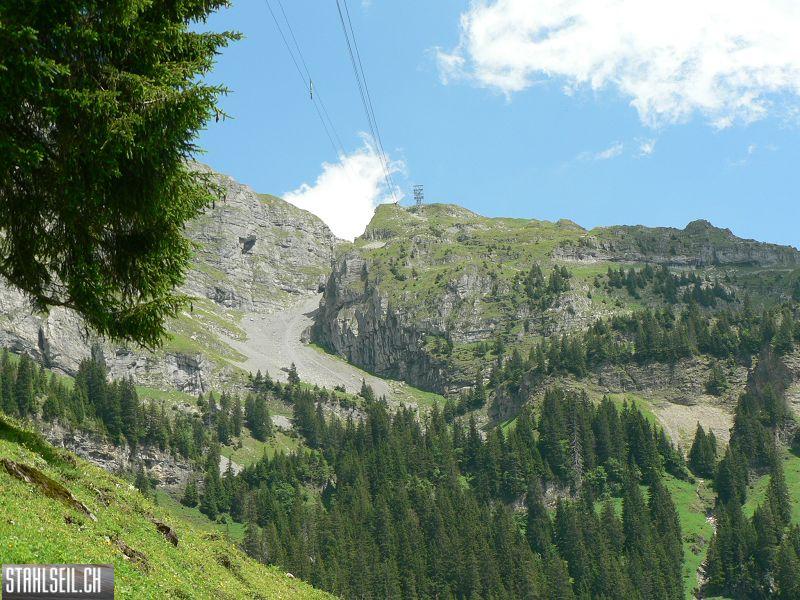 k-P1350701.JPG