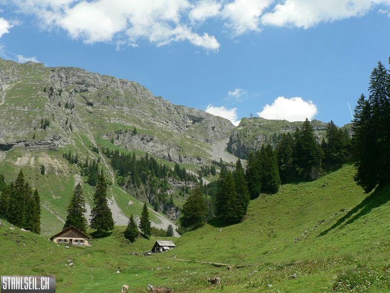 k-P1350706.JPG