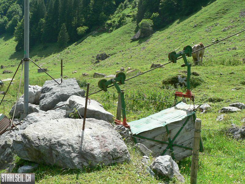 k-P1350740.JPG