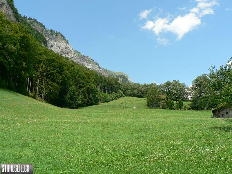 k-P1350752.JPG