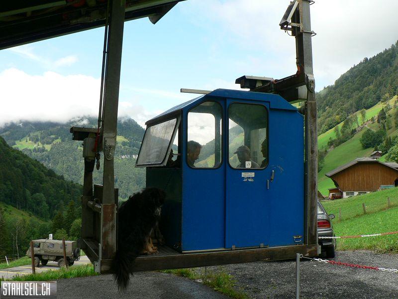 k-P1390442.JPG