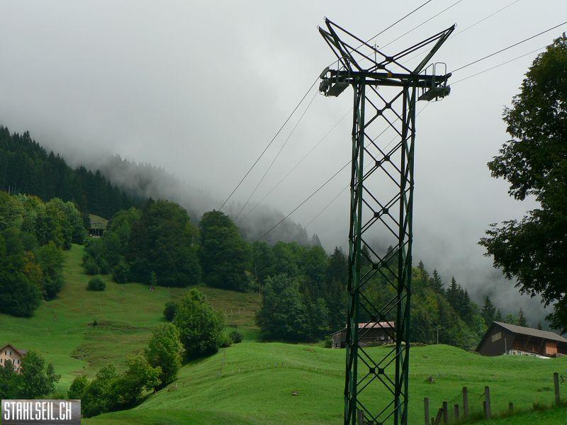 k-P1390438.JPG