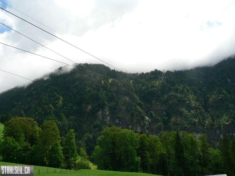 k-P1390460.JPG