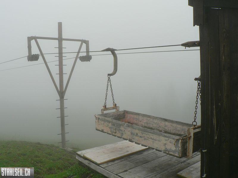 k-P1390492.JPG