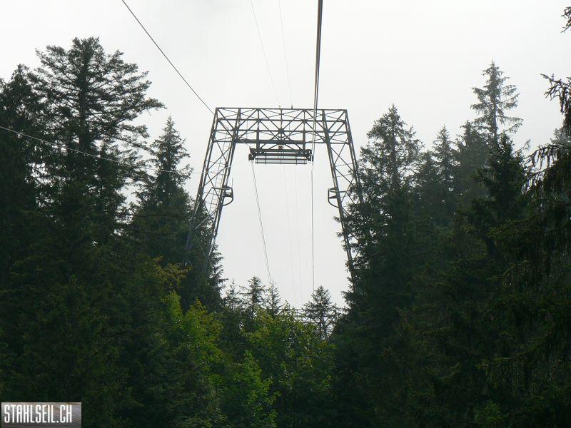 k-P1390559.JPG