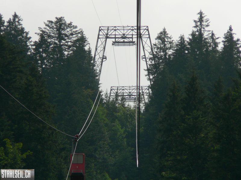k-P1390572.JPG