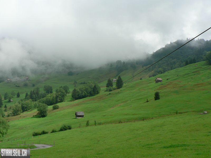 k-P1390406.JPG