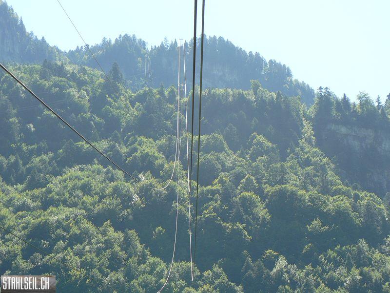 k-P1730010.JPG
