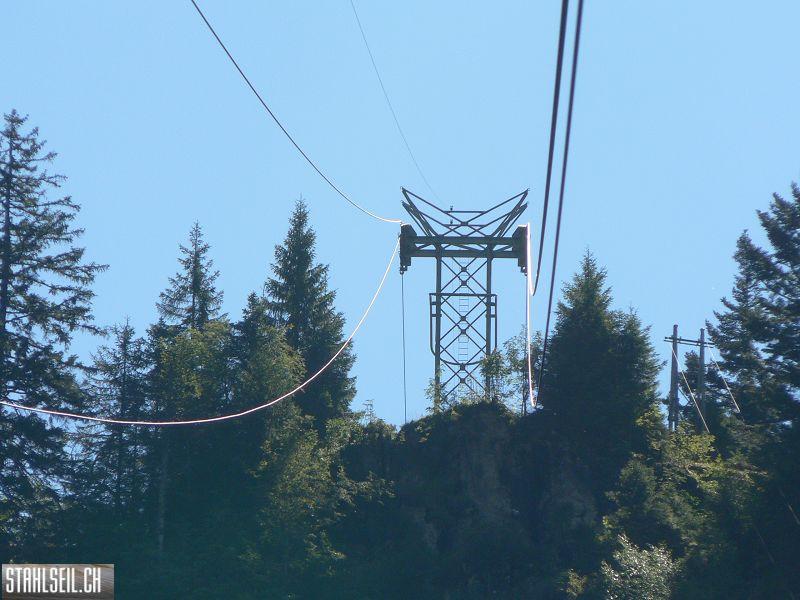 k-P1730032.JPG