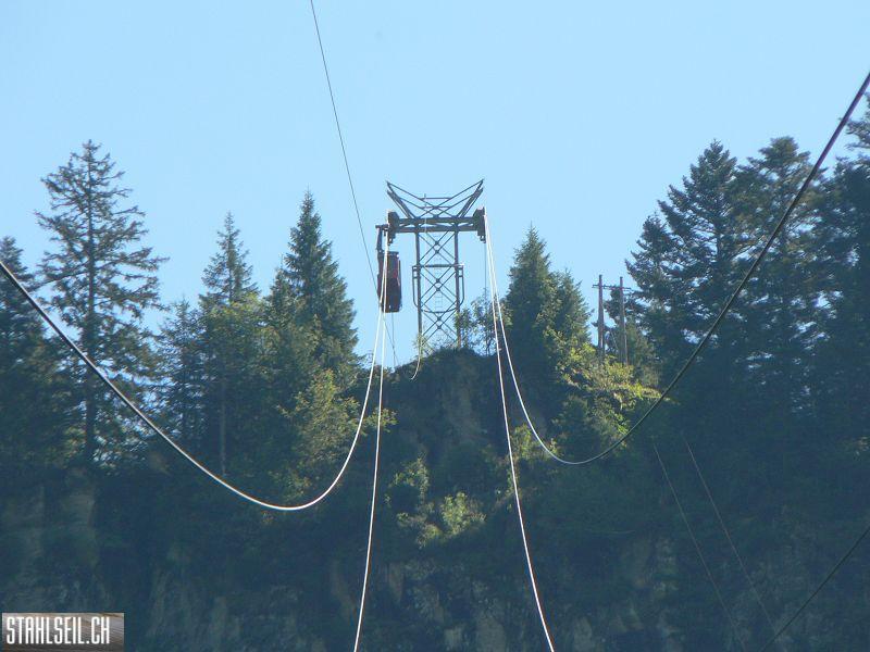 k-P1730070.JPG