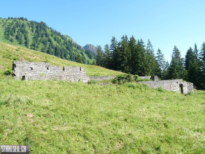 k-P1410213.JPG